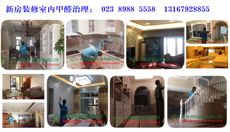 重慶除甲醛公司 重慶除甲醛公司