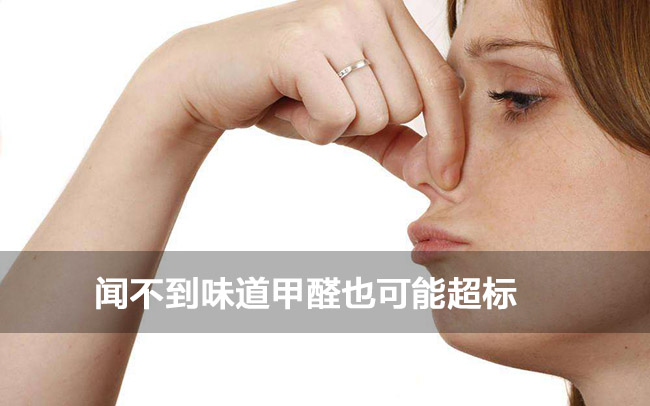 上海除甲醛公司推薦 除甲醛企業-虎普除甲醛